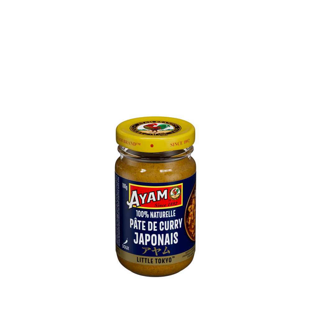 rs27829_fr_aym_24_japanese-curry-paste-100g_9556041132671-a_c1cf