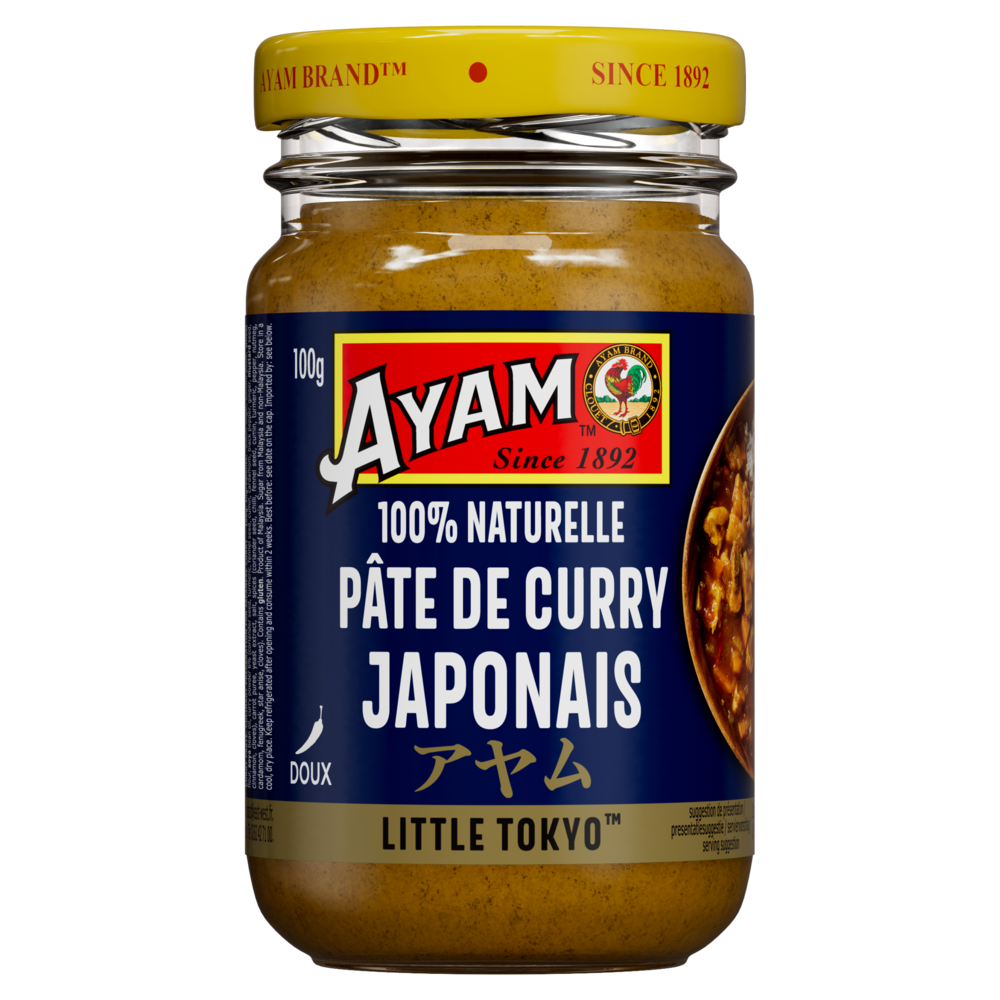 rs27833_fr_aym_24_japanese-curry-paste-100g_9556041132671-a_c1n1