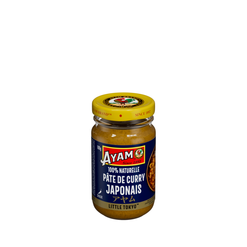 rs27829_fr_aym_24_japanese-curry-paste-100g_9556041132671-a_c1cf